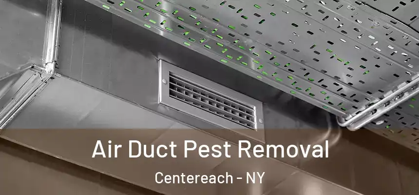 Air Duct Pest Removal Centereach - NY