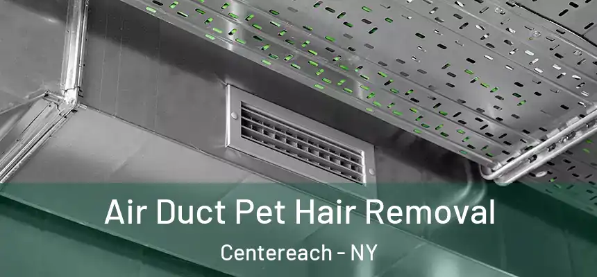 Air Duct Pet Hair Removal Centereach - NY