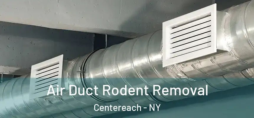 Air Duct Rodent Removal Centereach - NY