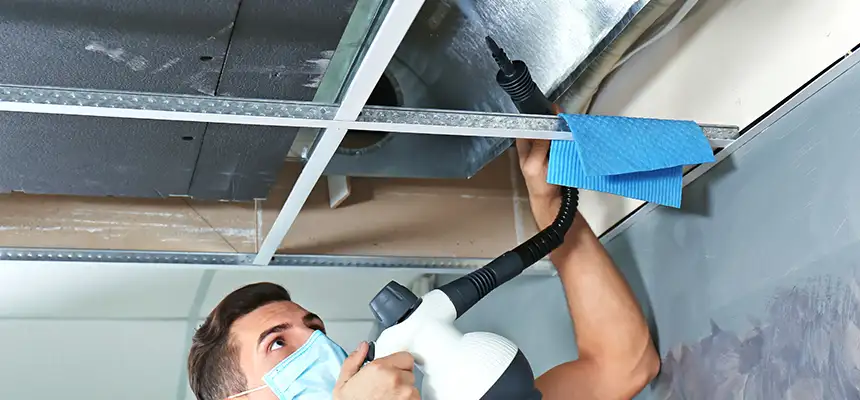 Our Air Duct Rodent Removal Services in Centereach, NY