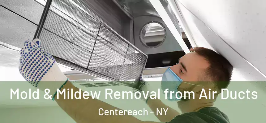 Mold & Mildew Removal from Air Ducts Centereach - NY