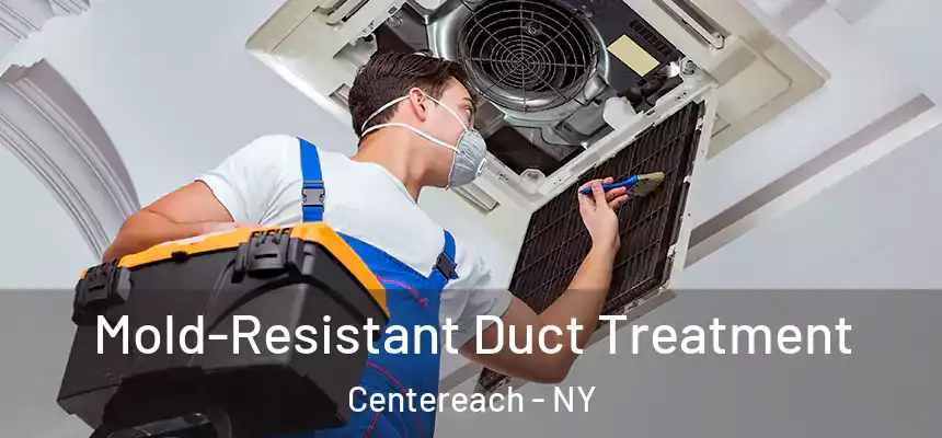  Mold-Resistant Duct Treatment Centereach - NY