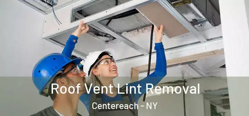  Roof Vent Lint Removal Centereach - NY