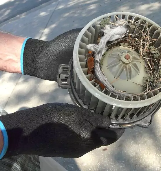 About Air Duct Rat Removal in Centereach, NY