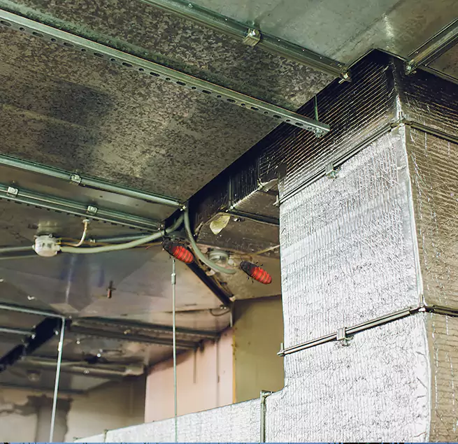 Why Homeowners & Businesses Trust Us in Centereach, NY?