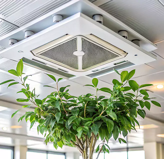 Why Homeowners & Businesses Trust Us in Centereach, NY