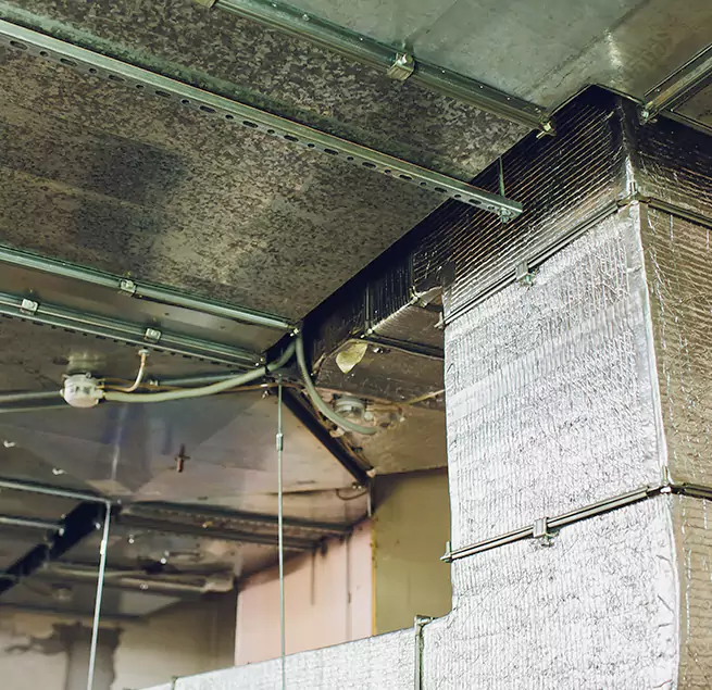 Why Homeowners & Businesses Trust Us in Centereach, NY?